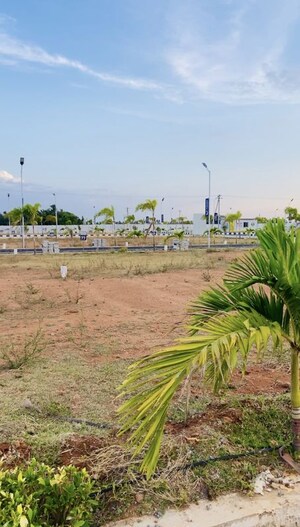 Plot Area in  Plot at Panjappur – for Sale