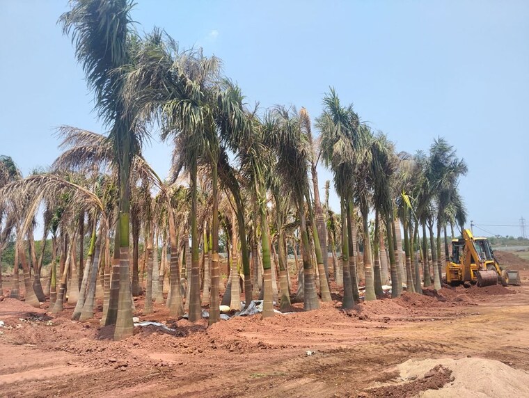 undefined, mominpet  183 Sq.Yd. Plot In Mominpet Vikarabad 10557000