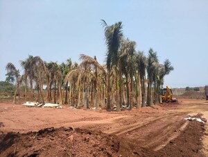 Plot Area in  Plot at Mominpet – for Sale