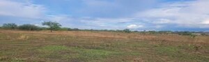  Plot For Sale in Amangal