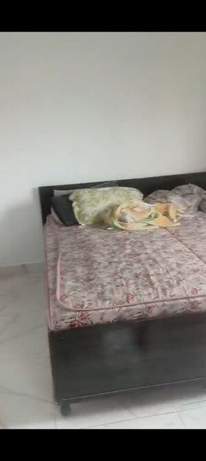 Bedroom in 2 BHK Builder Floor at Kalkaji – for Rent