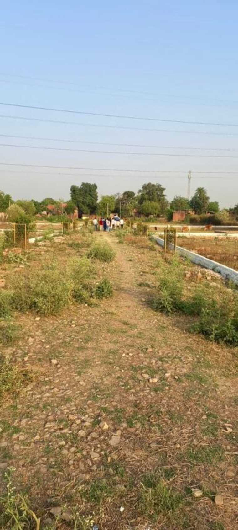 undefined, sultanpur road  1000 Sq.Ft. Plot In Sultanpur Road Lucknow 10557174