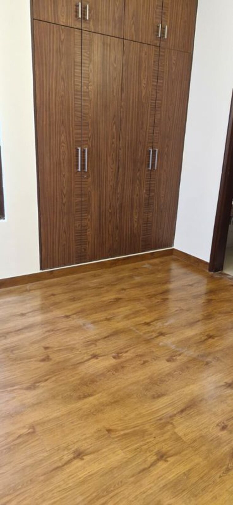 Room, ansal-sushant-lok-i 3 Bedroom 750 Sq.Yd. Builder Floor In Sector 43 Gurgaon 10557365