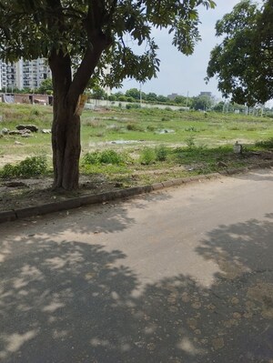Plot Area in  Plot at BPTP Parkland, Sector 75 – for Sale
