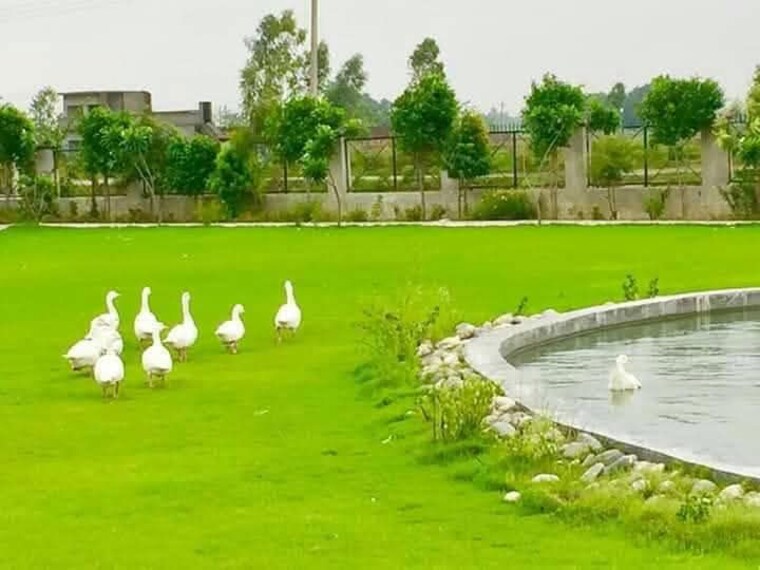 undefined, gamba-garden  1200 Sq.Ft. Plot In Raebareli Road Lucknow 10557361