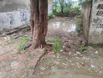 50 Sq.Yd. Plot in Sabhapur
