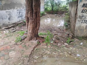  Plot For Sale in Sabhapur