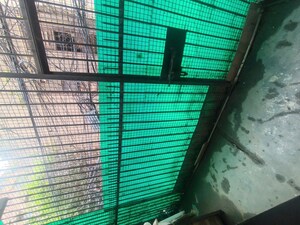 2 BHK Builder Floor – Exterior View View at Malviya Nagar - for Rent