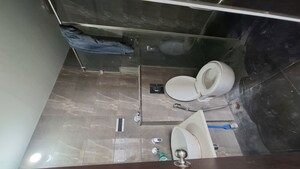Attached Bathroom in 2 BHK Apartment at Pharande Puneville, Punawale – for Rent