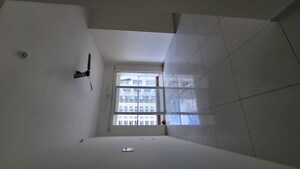 3 BHK Apartment For Rent in Punawale