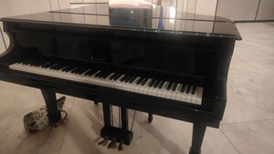 Kitchen in 5 BHK Penthouse at DLH Signature, Bandra West – for Sale