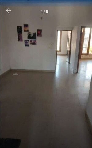 3 BHK Builder Floor For Rent in Sector 46