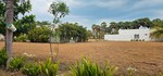311 Sq.Yd. Plot in Pandurangapuram