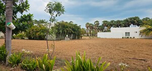  Plot For Sale in Pandurangapuram