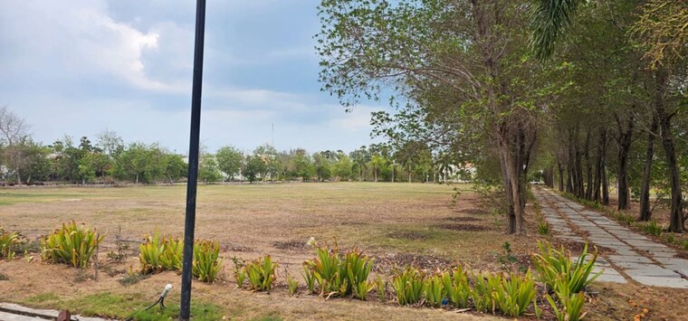 undefined, pandurangapuram  311 Sq.Yd. Plot In Pandurangapuram Bapatla 10558619