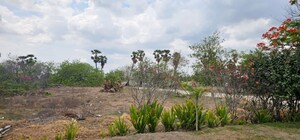 Plot Area in  Plot at Pandurangapuram – for Sale