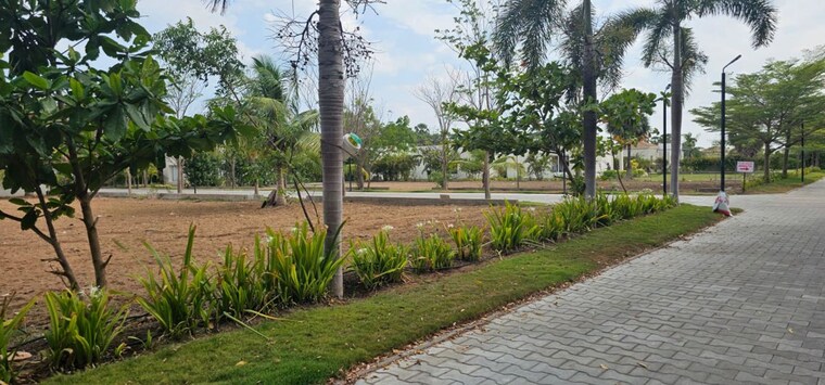 undefined, pandurangapuram  311 Sq.Yd. Plot In Pandurangapuram Bapatla 10558619