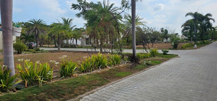 undefined, pandurangapuram  311 Sq.Yd. Plot In Pandurangapuram Bapatla 10558619