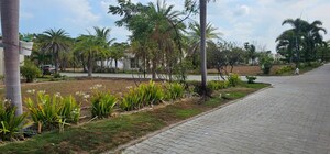Plot Area in  Plot at Pandurangapuram – for Sale