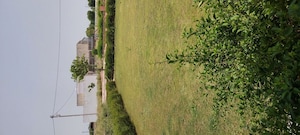 Plot Area in  Plot at Agra Gpo – for Sale