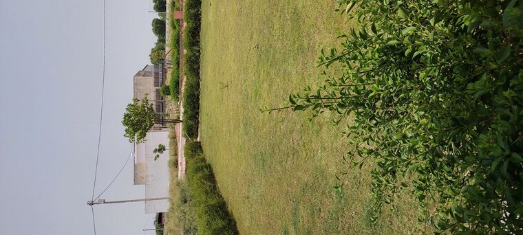 undefined, agra gpo  80 Sq.Yd. Plot In Agra Gpo Agra 10558719