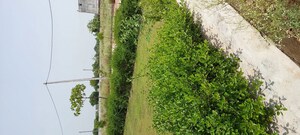 Plot Area in  Plot at Agra Gpo – for Sale
