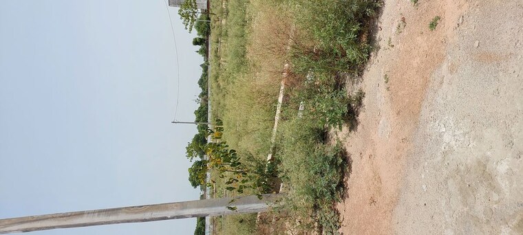 undefined, agra gpo  80 Sq.Yd. Plot In Agra Gpo Agra 10558719
