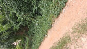 Plot Area in  Plot at Sarjapur – for Sale