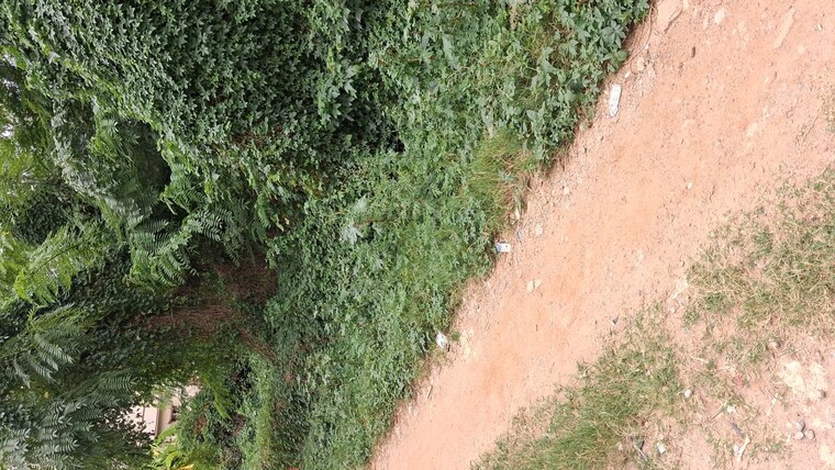undefined, sarjapur  1200 Sq.Ft. Plot In Sarjapur Bangalore 10558728
