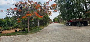  Plot – Garden View at Gavinivaripalem - for Sale