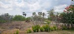 311 Sq.Yd. Plot in Gavinivaripalem