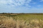 164 Sq.Ft. Plot in Kadthal