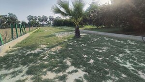  Plot For Sale in Kanpur Road