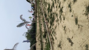Plot Area in  Plot at Sultanpur – for Sale