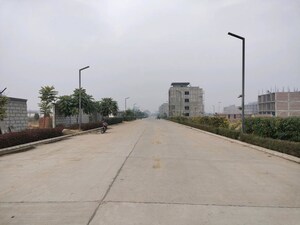 Plot Area in  Plot at Sector 77 – for Sale