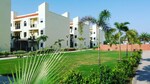 Studio  450 Sq.Ft. Apartment in Chhatikara