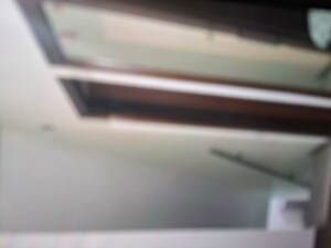 3 BHK Builder Floor For Rent in Sarita Vihar