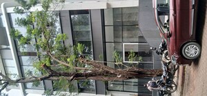 Balcony in 3 BHK Apartment at CM Amaris Suites, Matunga East – for Sale