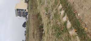  Plot – Garden View at Altus Prime, North Mullanpur - for Sale