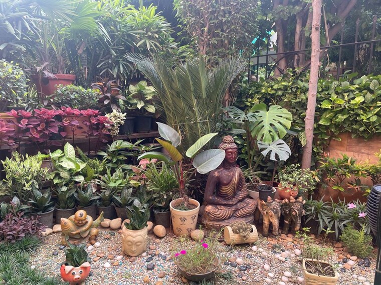 Garden, palam vihar 6+ Bedroom 3900 Sq.Yd. Independent House In Palam Vihar Gurgaon 10559246