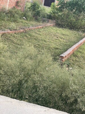 Plot Area in  Plot at Sandila – for Sale