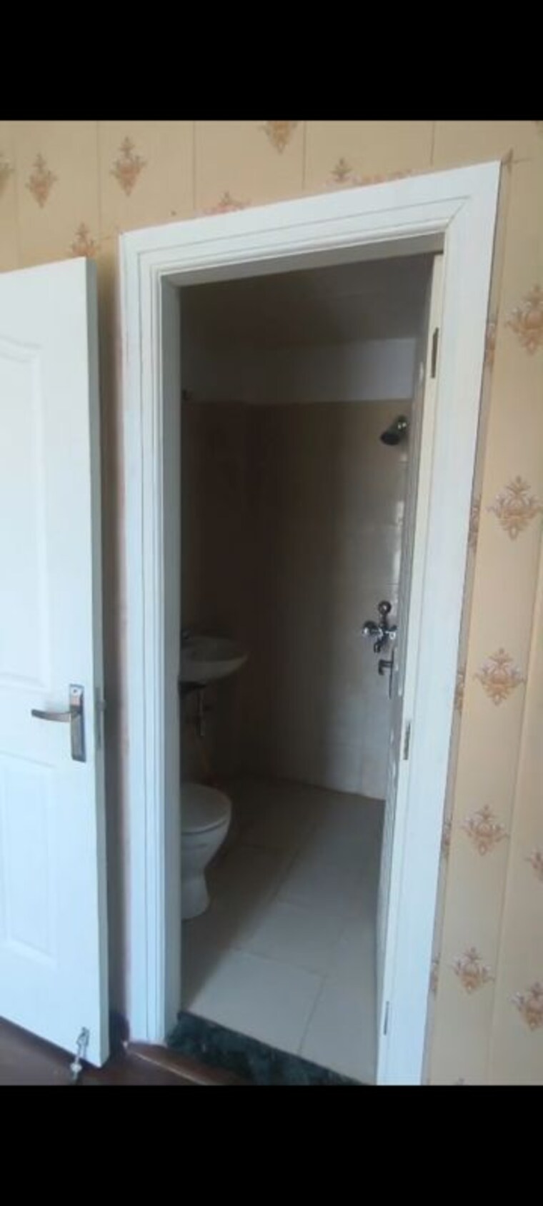 Bathroom, bptp-park-towers 3 Bedroom 1150 Sq.Ft. Builder Floor In Sector 77 Faridabad 10559585