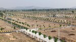 163 Sq.Yd. Plot in Chintapalli