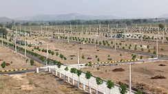 Plot For Sale in Chintapalli