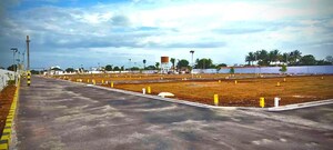 Plot Area in  Plot at Pappampatti Pirivu – for Sale