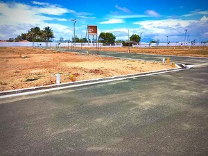  Plot For Sale in Pappampatti Pirivu
