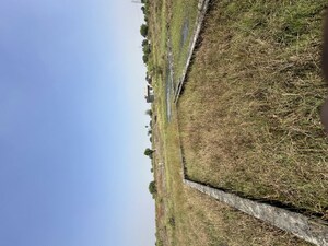 Plot Area in  Plot at Sikri – for Sale