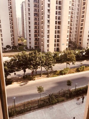 2 BHK Apartment For Rent in Amrapali Ivory Heights, Amrapali Dream Valley