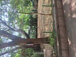 3 BHK 2750 Sq.Ft. Builder Floor in Jasola