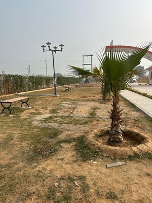   Plot at Chhata – for Sale